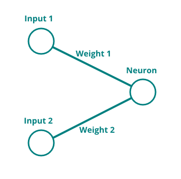 Neuron inputs structure