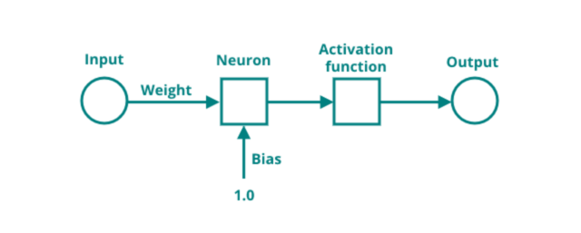 Biased neuron