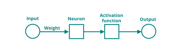 Neuron structure